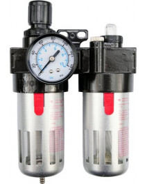 Filtru aer regulator 81556