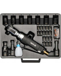 Antrenor pneumatic cu...