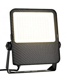 Capri LED Basic 100W...