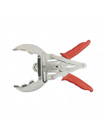 Cleste pentru inelul de...