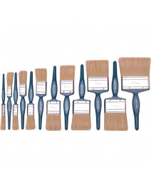 Pensule pentru vopsit...