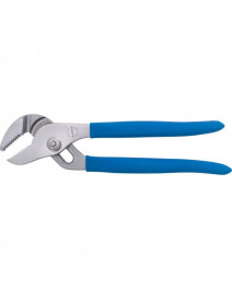 Clesti papagal cu...