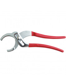 Clesti prindere a...