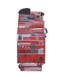 Set profesional de scule...