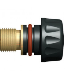 Capete posterioare...