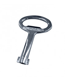 Cheie cu 2 pini DV903532