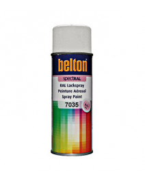 Vopsea spray IU008106