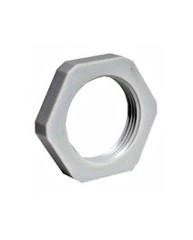 Contrapiulita PG16 M273106