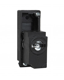 Insert doi pini ACLSSI529