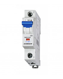 Intreruptor automat D40/1...