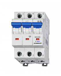 Intreruptor automat B63/3...