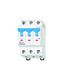 Intreruptor automat C6/3...
