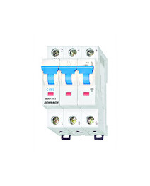 Intreruptor automat C63/3...