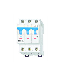 Intreruptor automat C10/3...