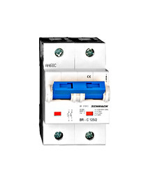 Intreruptor automat C125/2...