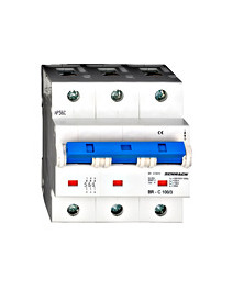 Intreruptor automat C100/3...