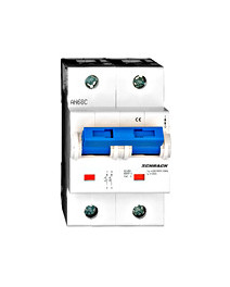 Intreruptor automat C 125A...