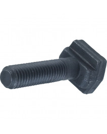 Bolt cu canal in T...