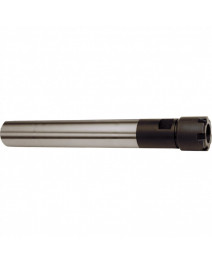 Coada dreapta - mini...