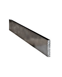 Bara Cu stanat 30x5mm 2 4m...